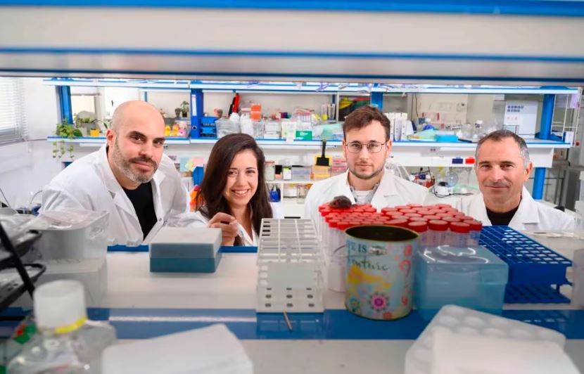 Científicos desarrollan un nuevo anticuerpo para combatir el cáncer