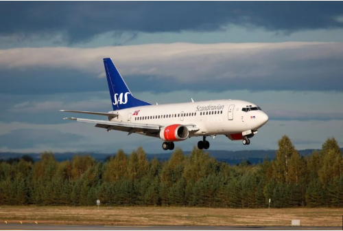 Avión tuvo que aterrizar de emergencia cuando un ratón apareció en la comida de una pasajera